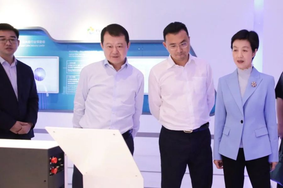 揚中市委副書記蔡萍率隊來訪遠東