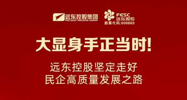 大顯身手正當時！遠東控股堅定走好民企高質量發展之路