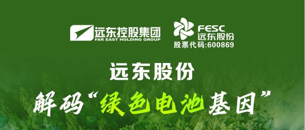 遠東股份：解碼“綠色電池基因”